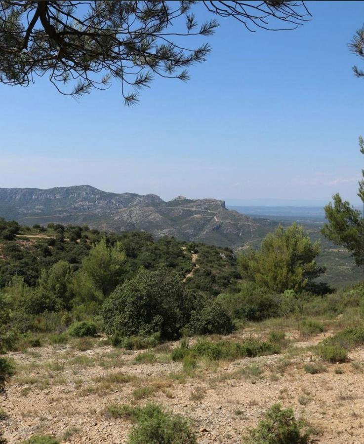 Allauch Village De Pagnol المظهر الخارجي الصورة